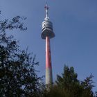 Wiener Fernsehturm!