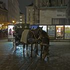 Wiener Fiaker am Domplatz