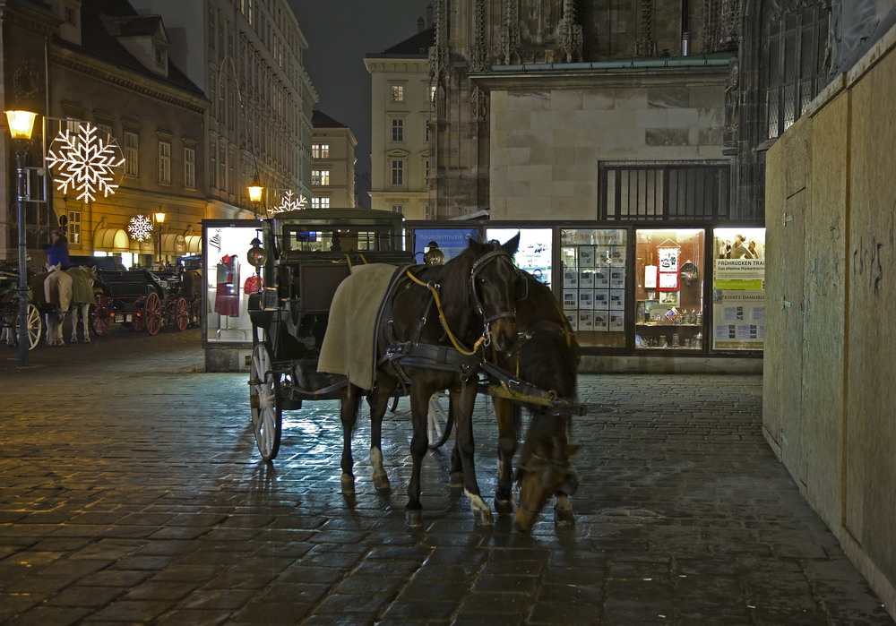 Wiener Fiaker am Domplatz