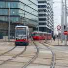 Wiener Linien (16 von 18)