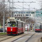 Wiener Linien (18 von 18)