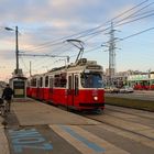 Wiener Linien (5 von 18)