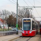 Wiener Linien (6 von 18)