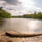 Wiener Lobau