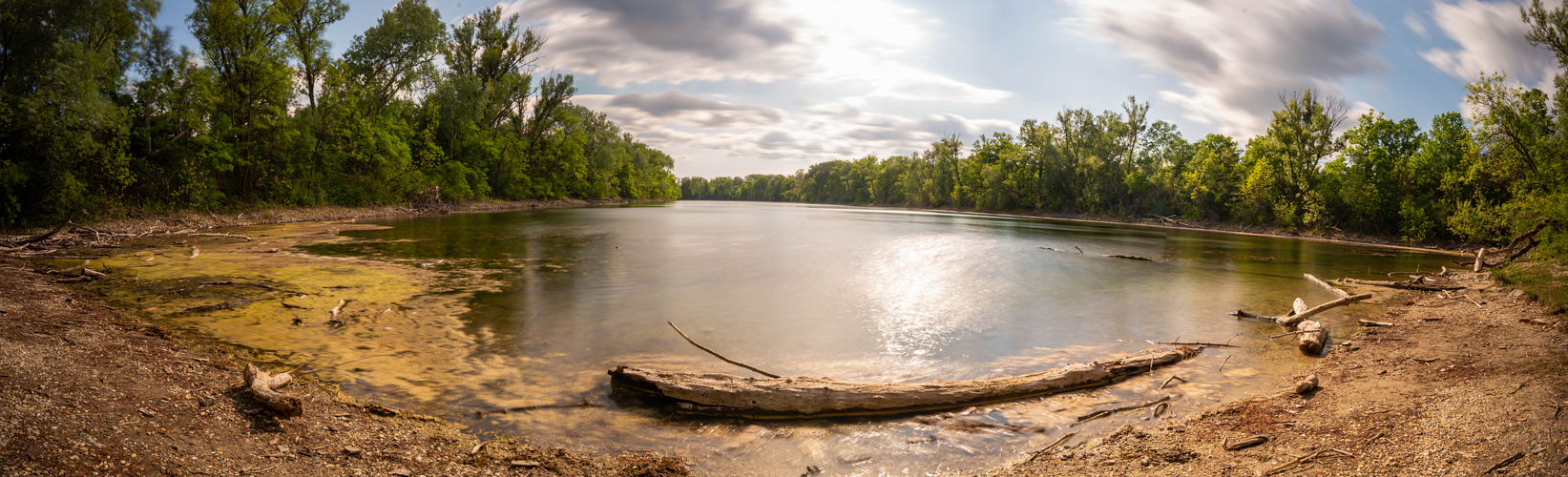 Wiener Lobau