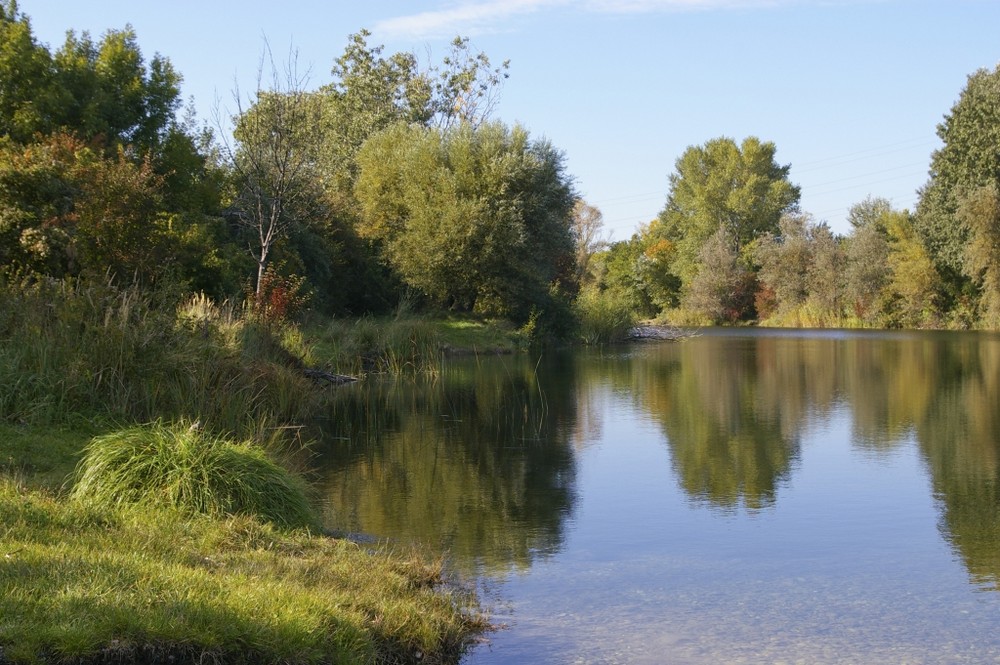 Wiener Lobau im Herbst