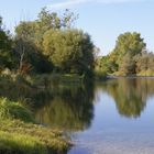 Wiener Lobau im Herbst