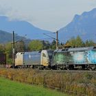 'Wiener Lokalbahnen Cargo'