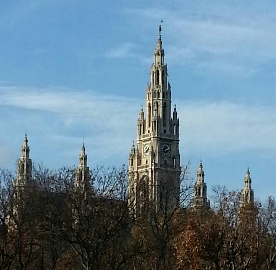 Wiener-Rathaus im "100jahrschlaf"