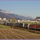 Wiener Schule in Tirol