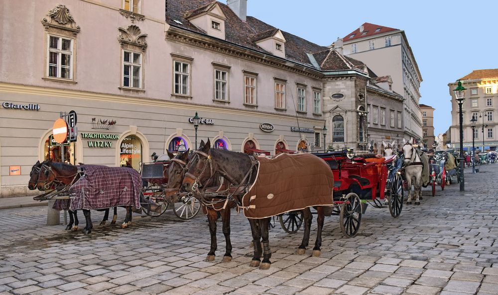  Wiener Stephansplatz