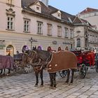  Wiener Stephansplatz