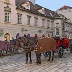  Wiener Stephansplatz