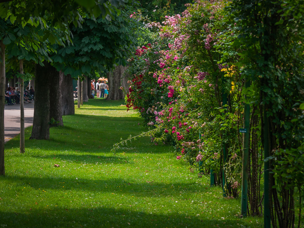 Wiener Volksgarten