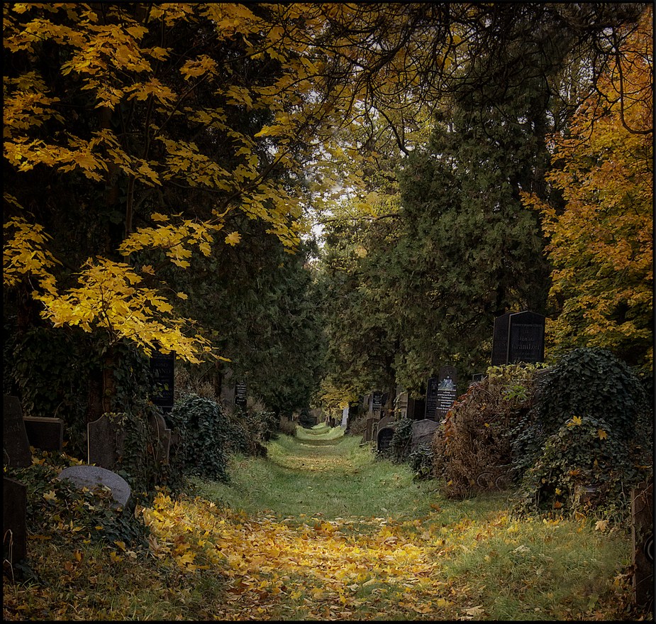 Wiener Zentralfriedhof.