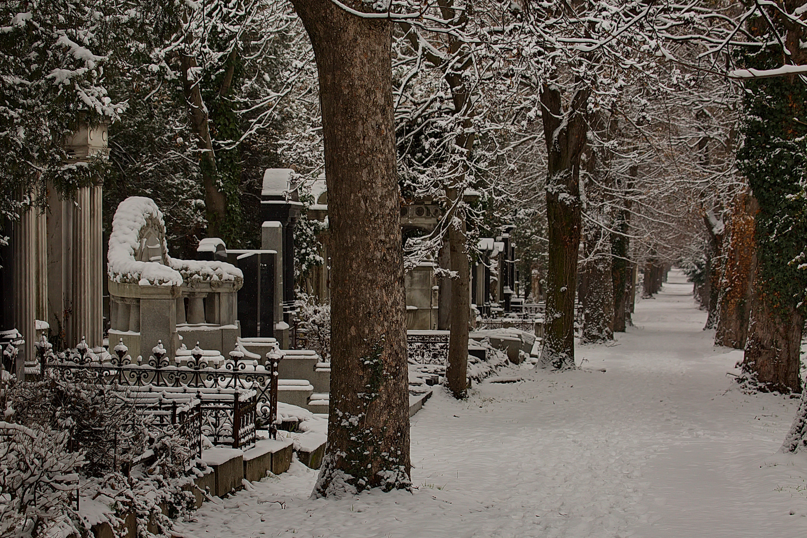 Wiener Zentralfriedhof