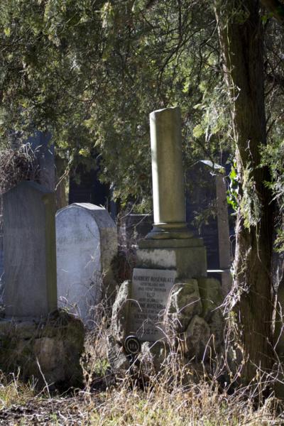 Wiener Zentralfriedhof - alter jüdischer Teil - 02