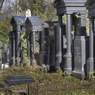 Wiener Zentralfriedhof - alter jüdischer Teil - 03