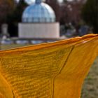 Wiener Zentralfriedhof Buddhistischer Teil - 02