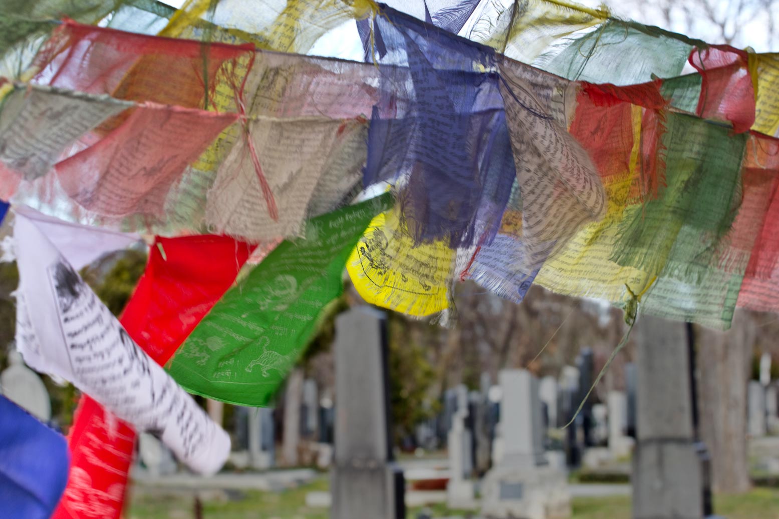 Wiener Zentralfriedhof Buddhistischer Teil - 03