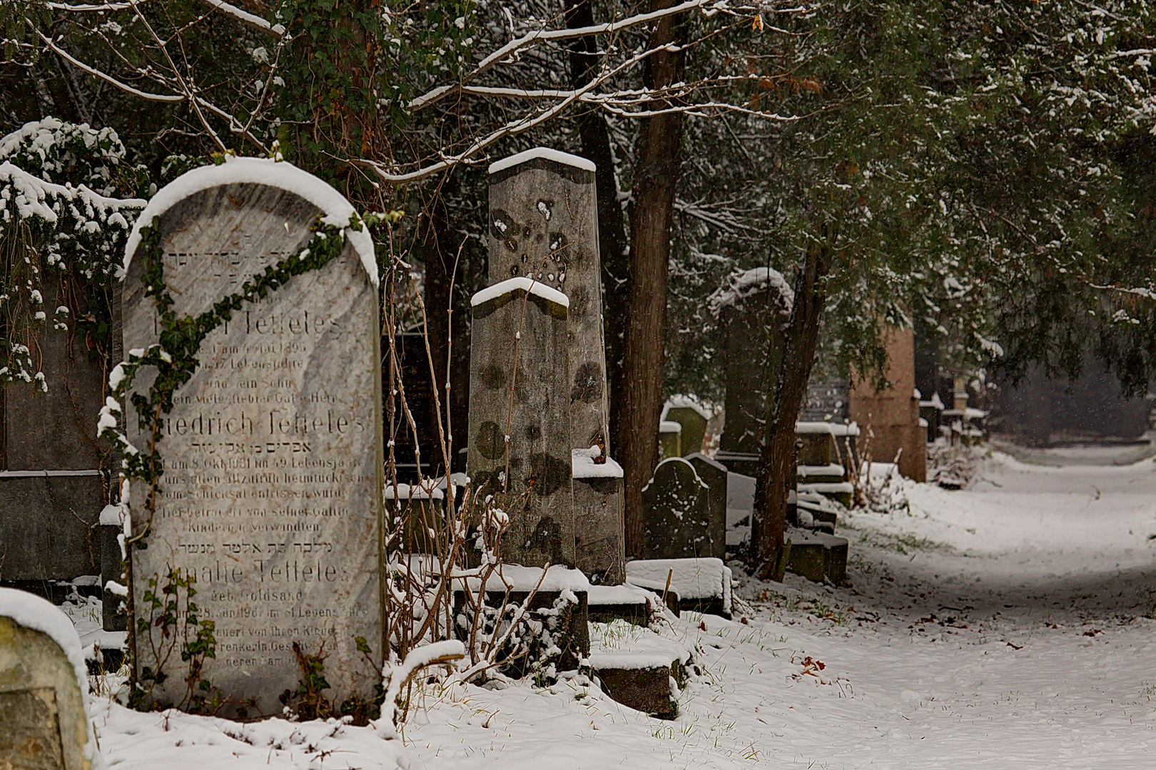 Wiener Zentralfriedhof