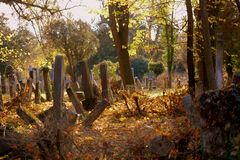 Wiener Zentralfriedhof ....verwilderter Teil