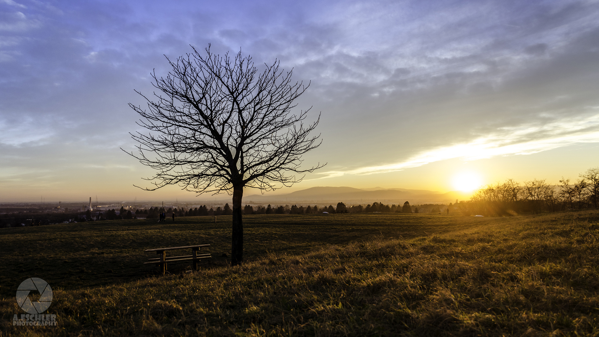 Wienerberg Sunset