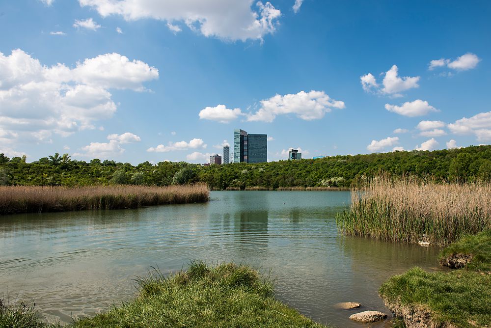 wienerbergteich Foto & Bild landschaften, nikon, sommer Bilder auf