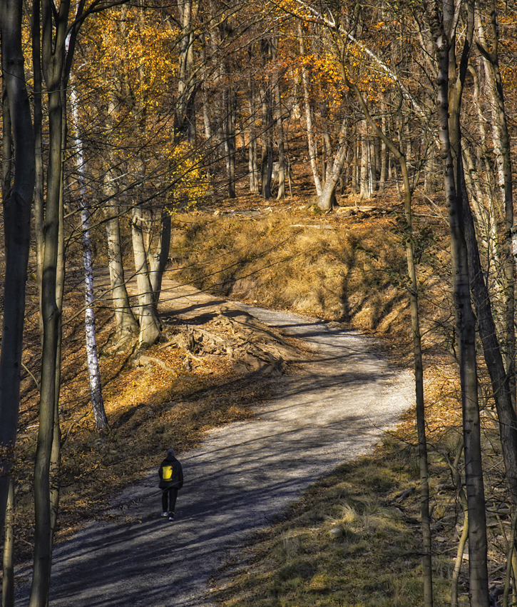 Wienerwald