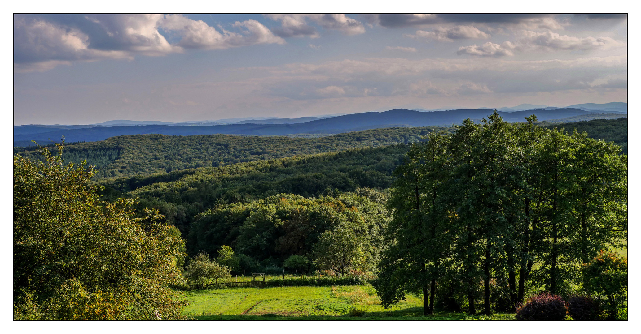 Wienerwald am Morgen