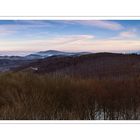 Wienerwald an einem Winterabend