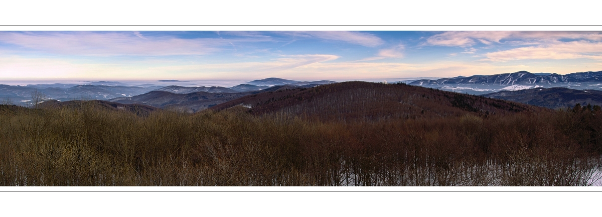 Wienerwald an einem Winterabend