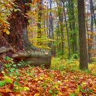 Wienerwald im Herbst