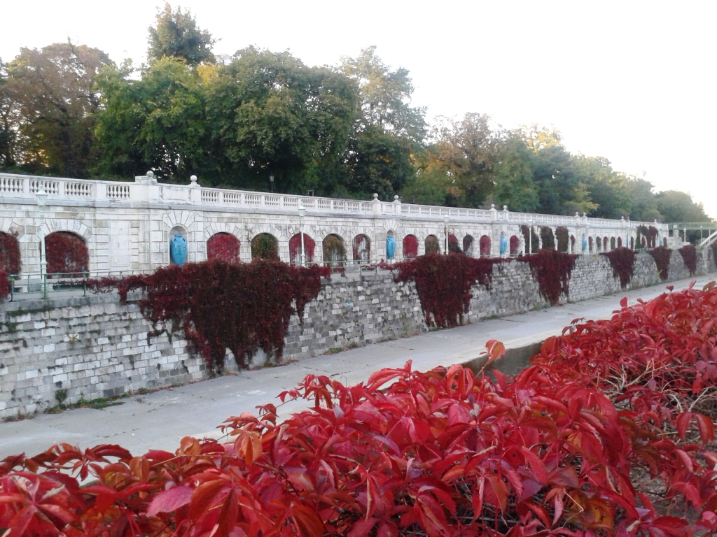 Wienfluss im Herbst