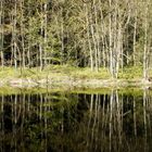 Wienpitschsee-Müritz Nationalpark