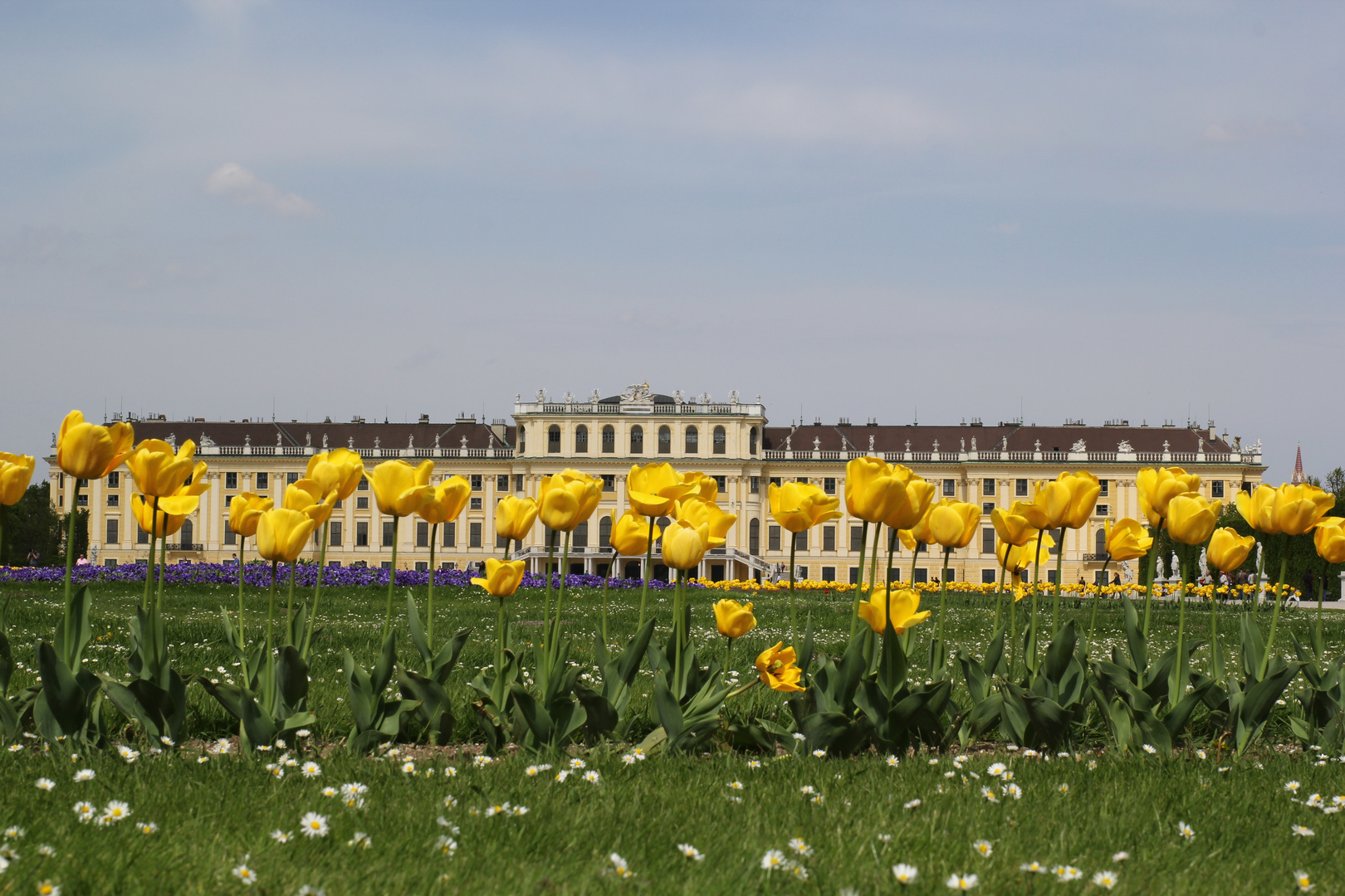 Wien_Schloss durch die Blume