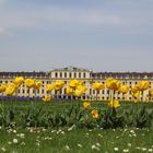 Wien_Schloss durch die Blume