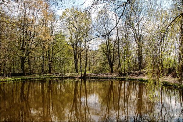 Wie`s Friehgahr eizieht (1)