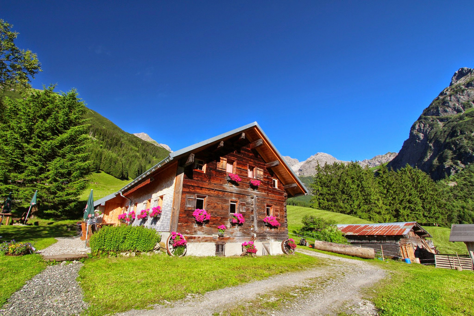 Wiesalpe im Kleinwalsertal im Wildental