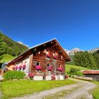 Wiesalpe im Kleinwalsertal im Wildental