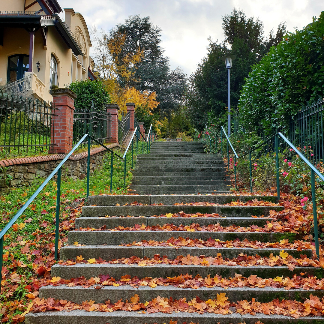 Wiesbaden 