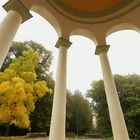 Wiesbaden, der Neroberg im Herbst II