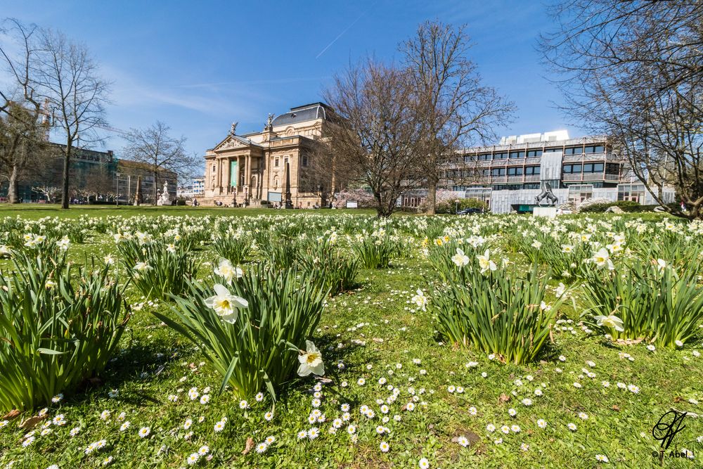 Wiesbaden im Frühling