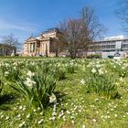 Wiesbaden im Frühling