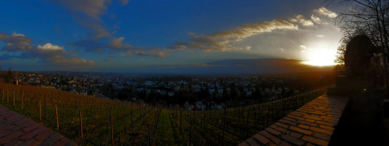 Wiesbaden Neroberg - Blick vom vom Berg auf die Stadt am 22.02.22