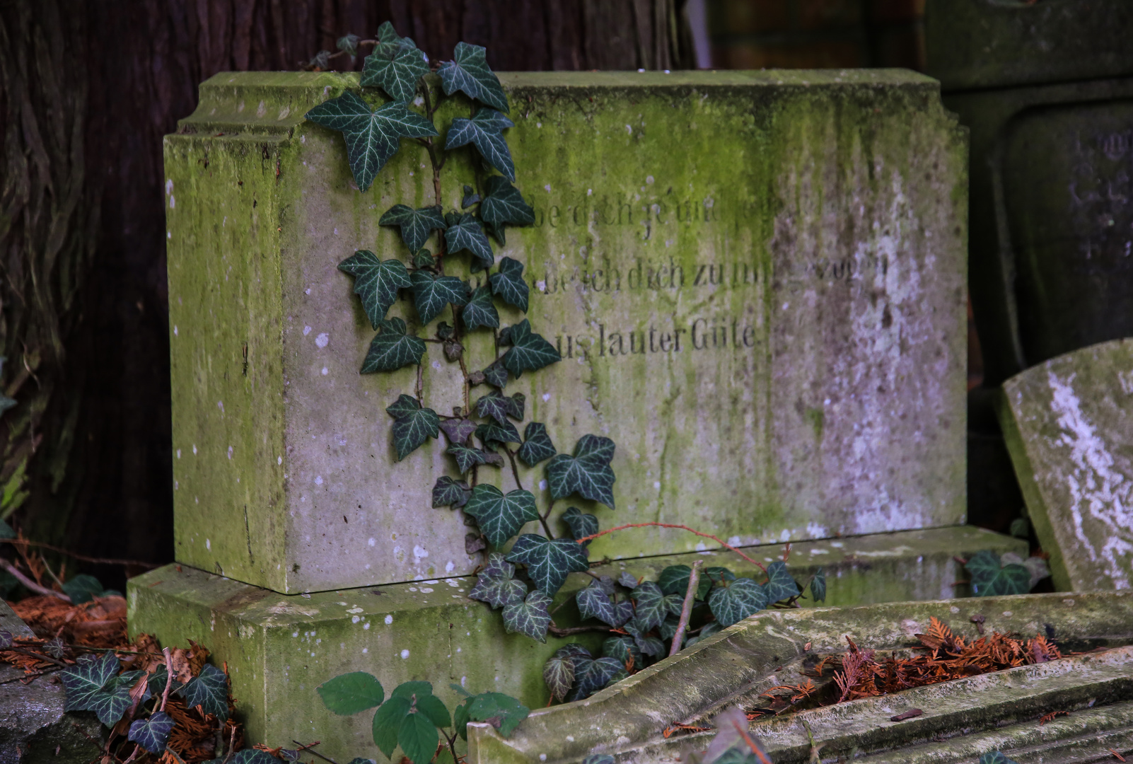 Wiesbaden Nordfriedhof...01