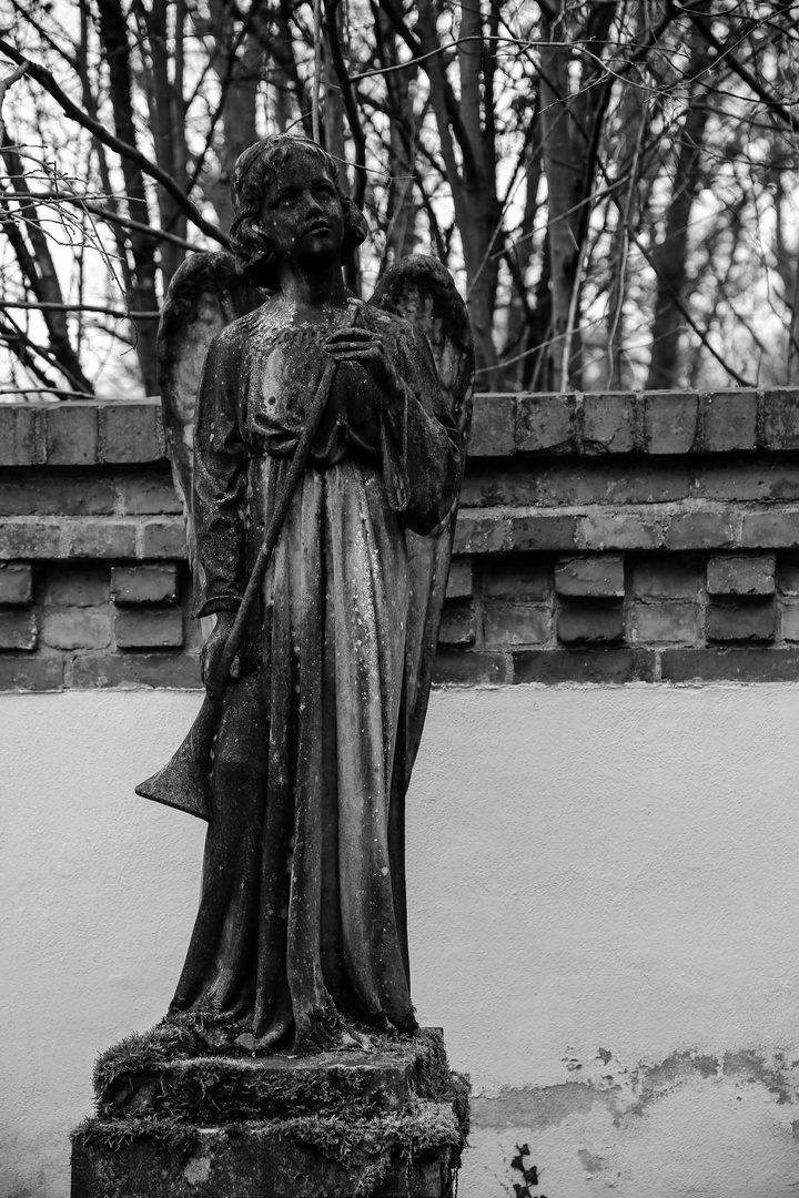 Wiesbaden Nordfriedhof...04