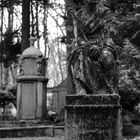 Wiesbaden Nordfriedhof...09