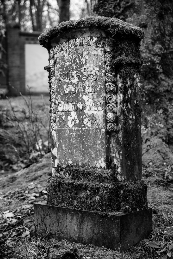 Wiesbaden Nordfriedhof...18