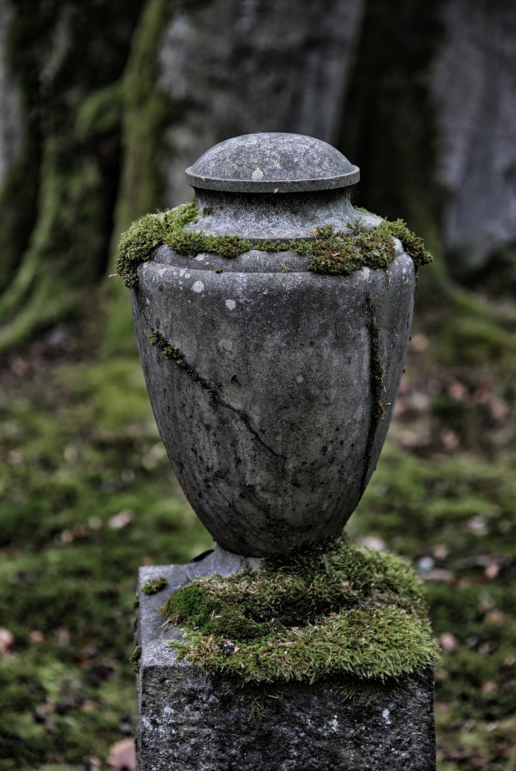 Wiesbaden Nordfriedhof...20